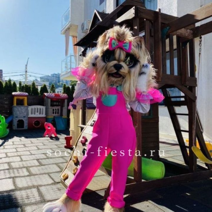Аниматор Гламурная Собака в Томске