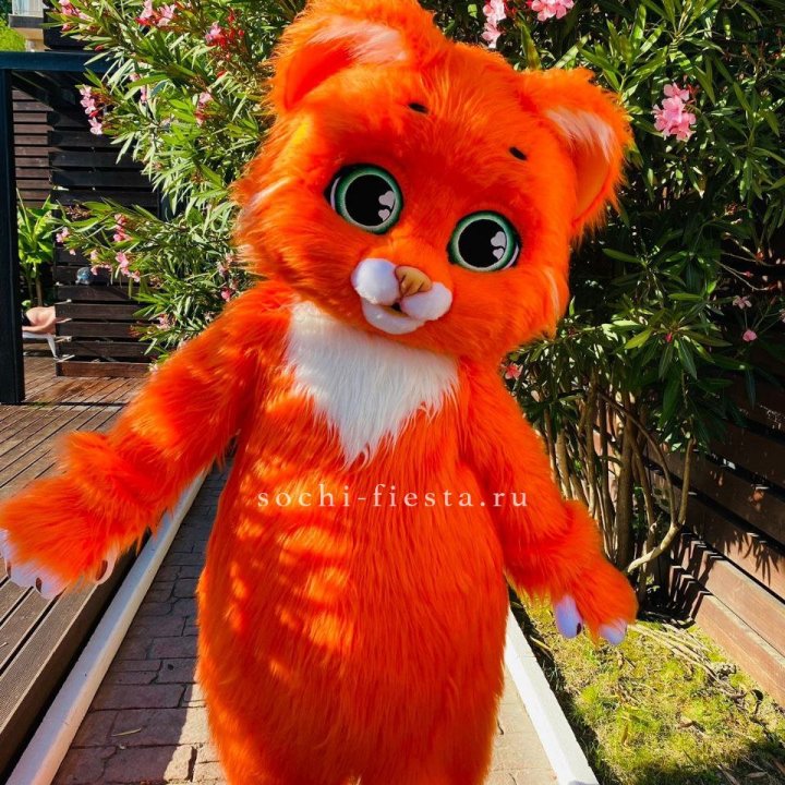 Аниматор Котик в Томске