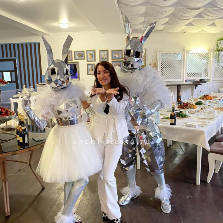 Аниматор Зеркальный заяц в Томске