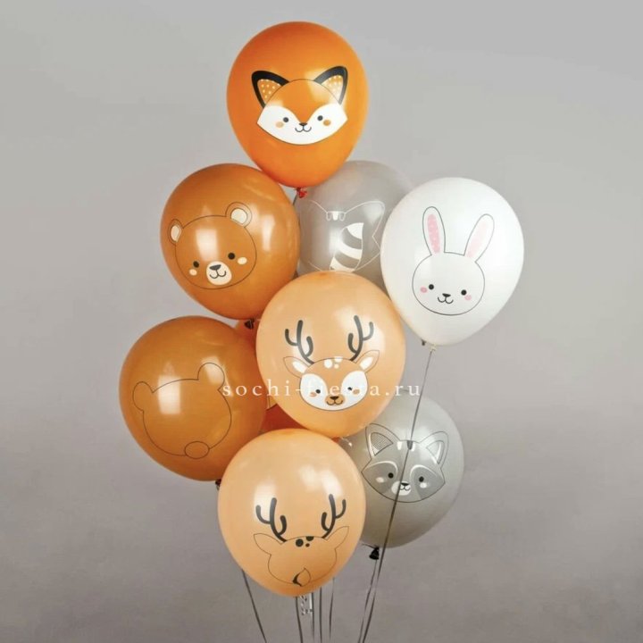 Воздушный шар "Животные" в Томске
