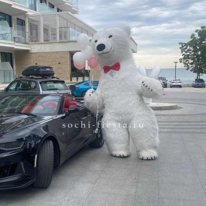 Аниматор Белый Медведь в Томске