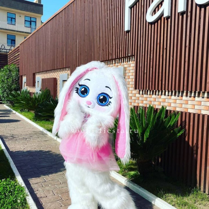 Аниматор Зайка в Томске