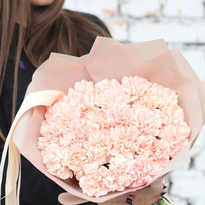 Диантусы №2 в Томске