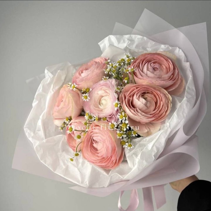 Ранункулюсы с ромашками в Томске