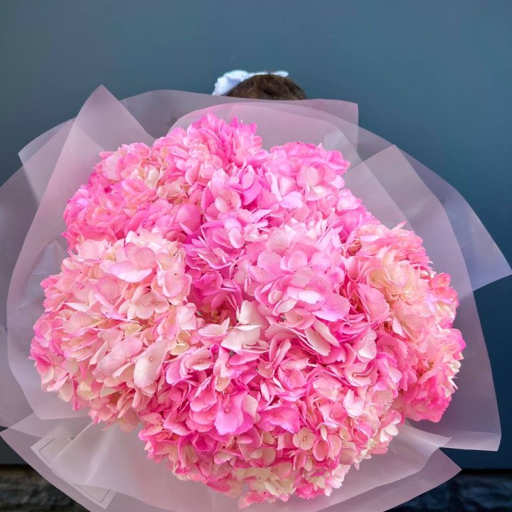 9 ярко розовых гортензий в Томске