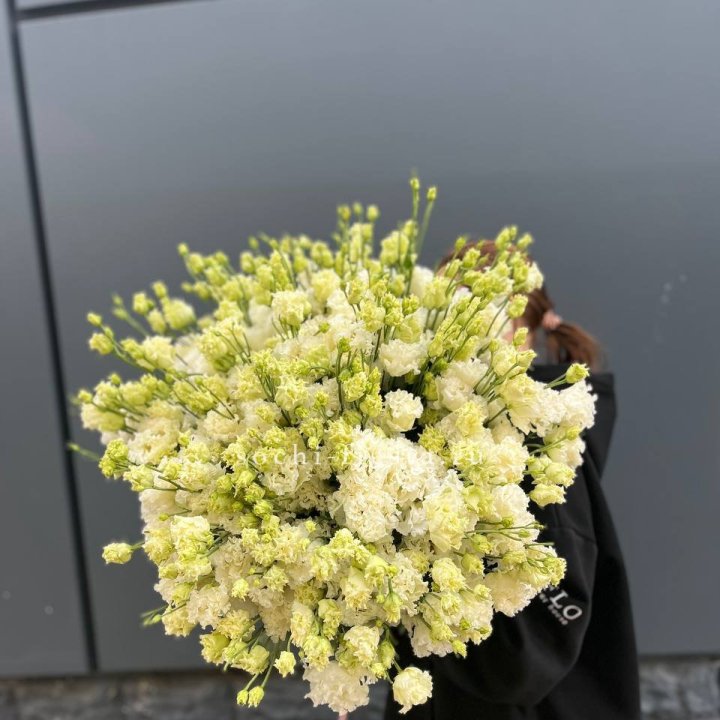 51 белая эустома в Томске