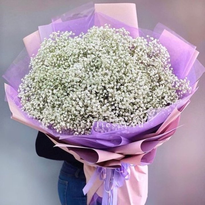 Облако белых гипсофил в Томске