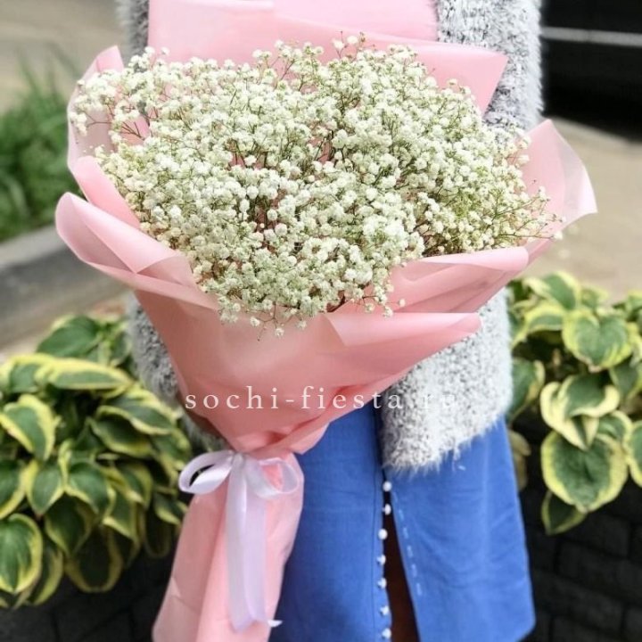 Белоснежные гипсофилы в Томске