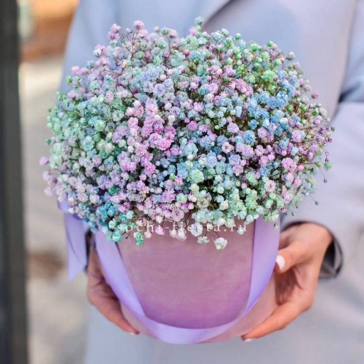 Гипсофилы в шляпной коробке "Кандилайт" в Томске