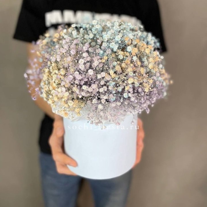 9 Радужных гипсофил в шляпной коробке в Томске