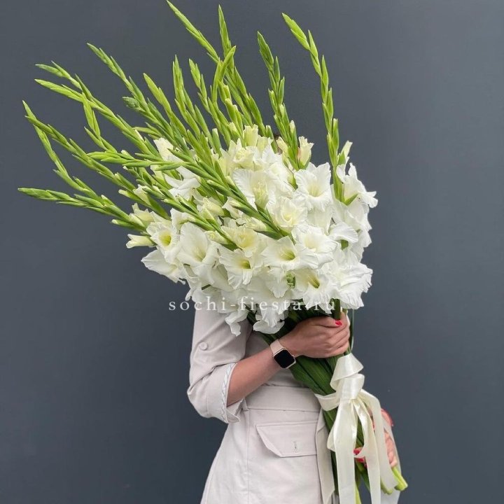 19 белых гладиолусов под ленту в Томске