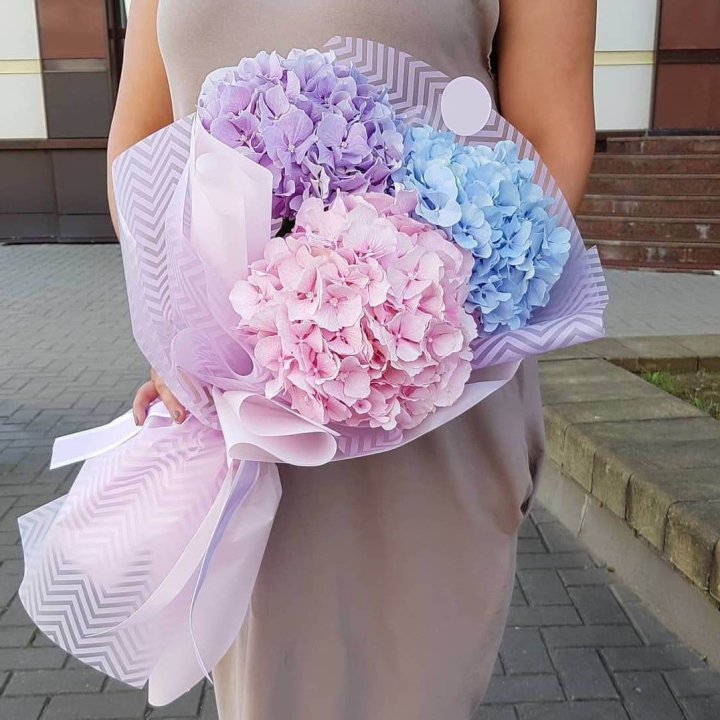 Букет гортензий "Пуф" в Томске