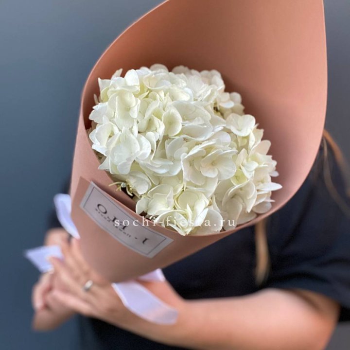 Гортензия в конверте в Томске