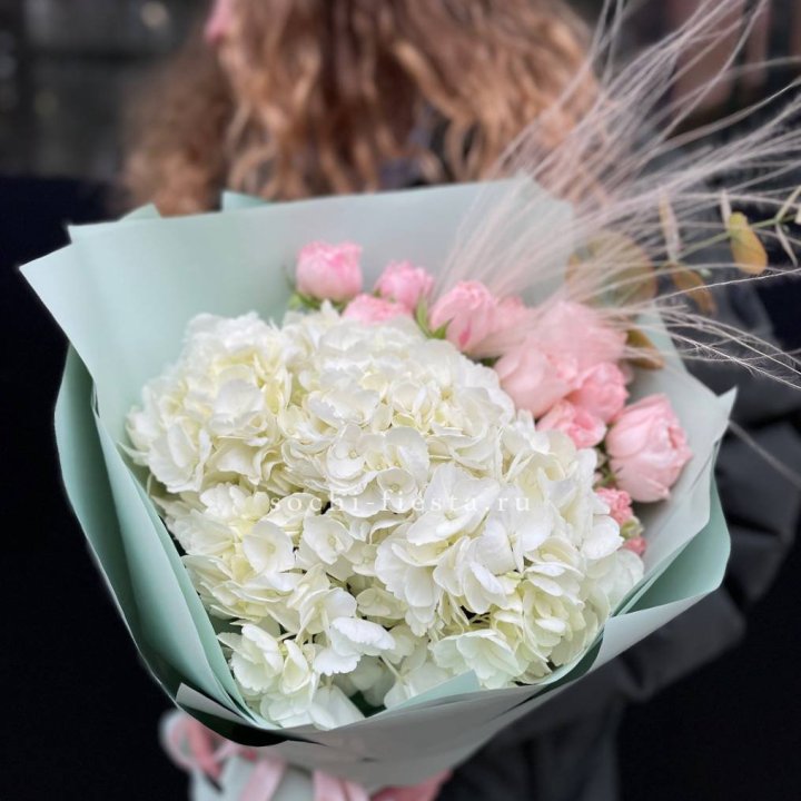 Гортензия "Жасмин" в Томске