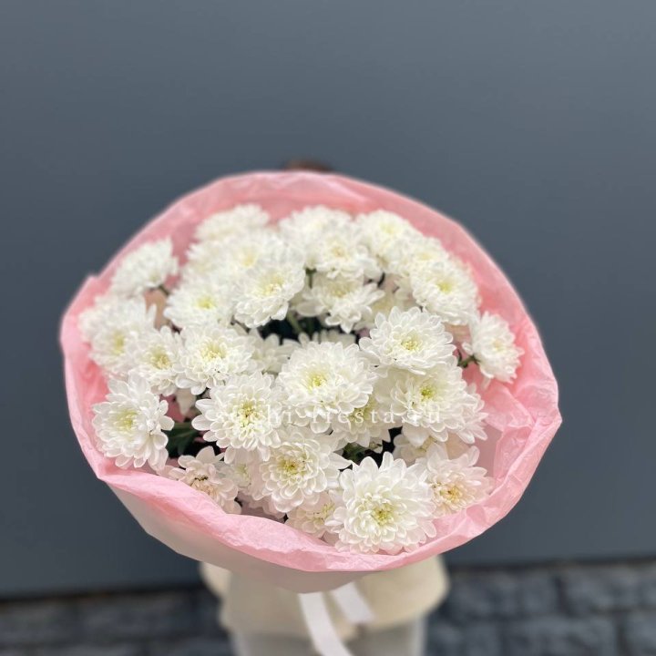  5 хризантем  в Томске