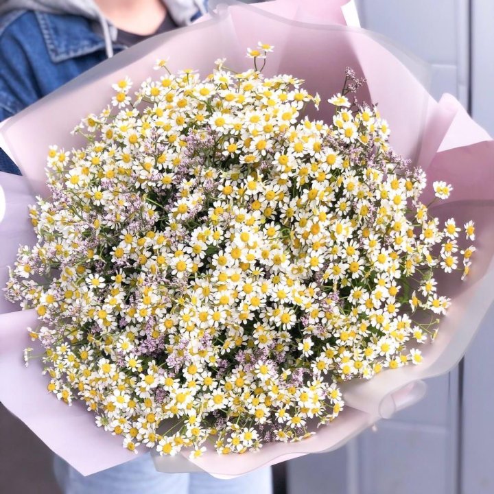 Букет ромашек №1 в Томске