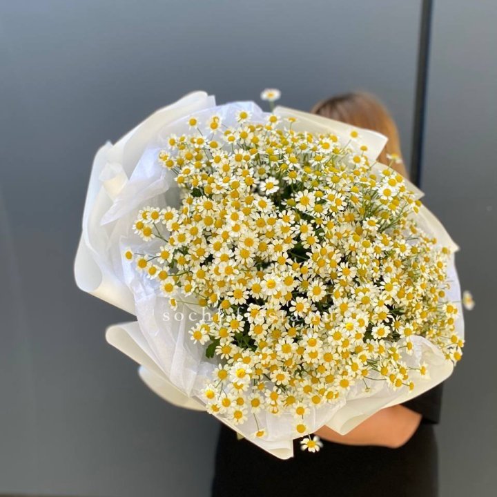 Букет ромашек "Фемели" в Томске