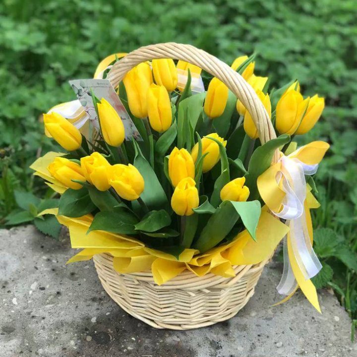 25 желтых тюльпанов в корзине в Томске