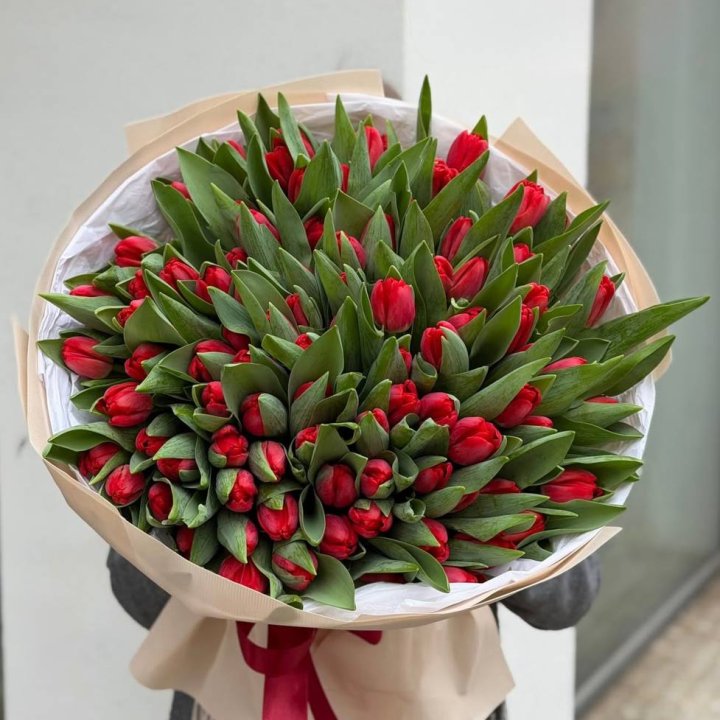 101 красный тюльпан в Томске