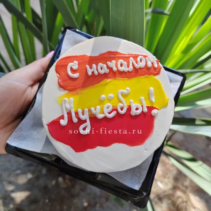 Бенто-торт "С началом учёбы"" в Томске