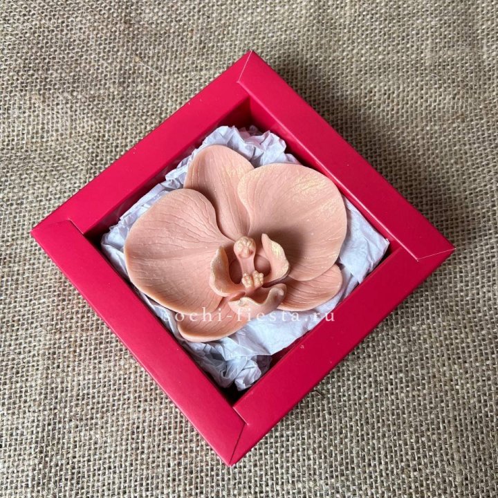 Бельгийский шоколад Орхидея в Томске