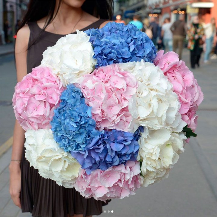 Букет гортензий "Инь-Янь" в Томске