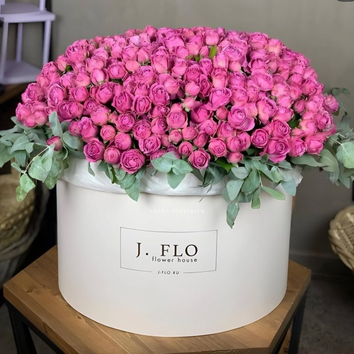 Цилиндр с Мисти Бабблс  в Томске