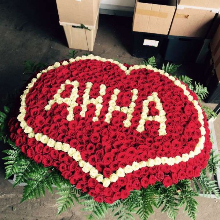 555 роз с именем в Томске