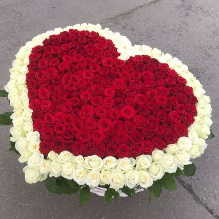 333 розы в корзине в Томске