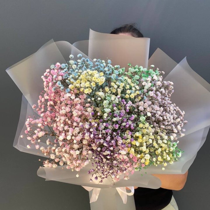 Радужные гипсофилы  в Томске