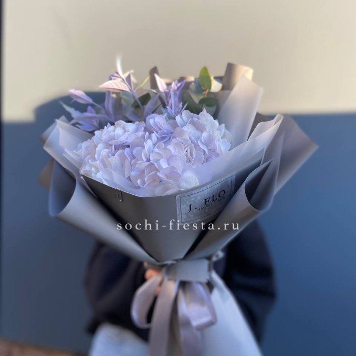 Гортензия "Виолета" в Томске