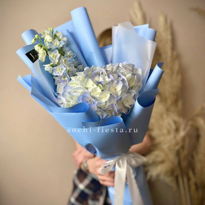 Гортензия "Блю скай" в Томске