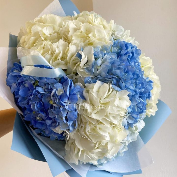 Букет гортензий "Голубая лаза" в Томске