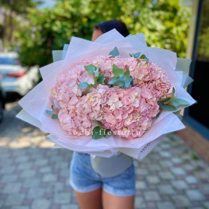 5 розовых гортензий  в Томске