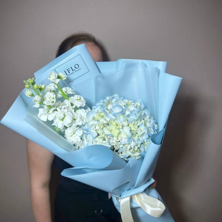 Гортензия голубая с маттиолой в Томске