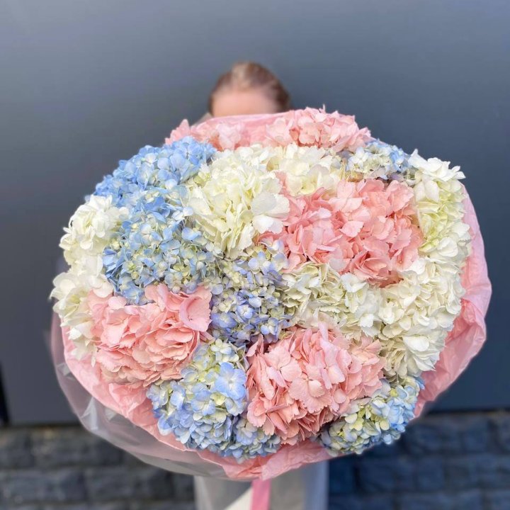 19 гортензий микс в Томске