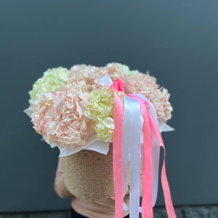 7 гортензий в кашпо в Томске