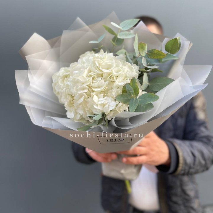  Букет  из белой гортензии в Томске