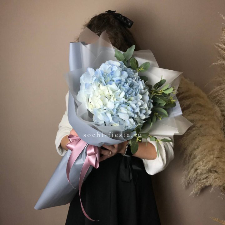 Гортензия Уно в Томске