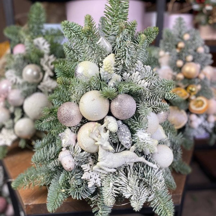 Ёлочка "Хепи крисмас" в Томске