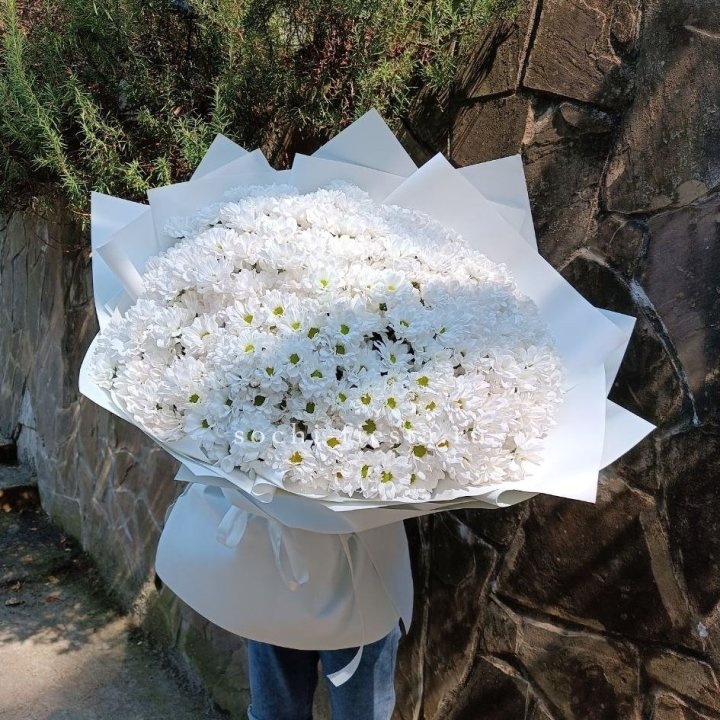 Облако хризантем №2 в Томске