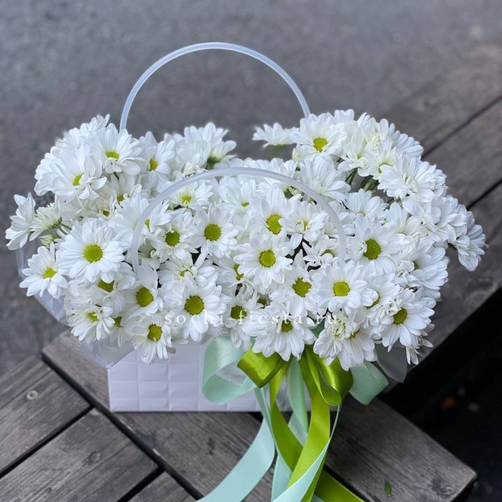 Сумка с хризантемами ромашками в Томске