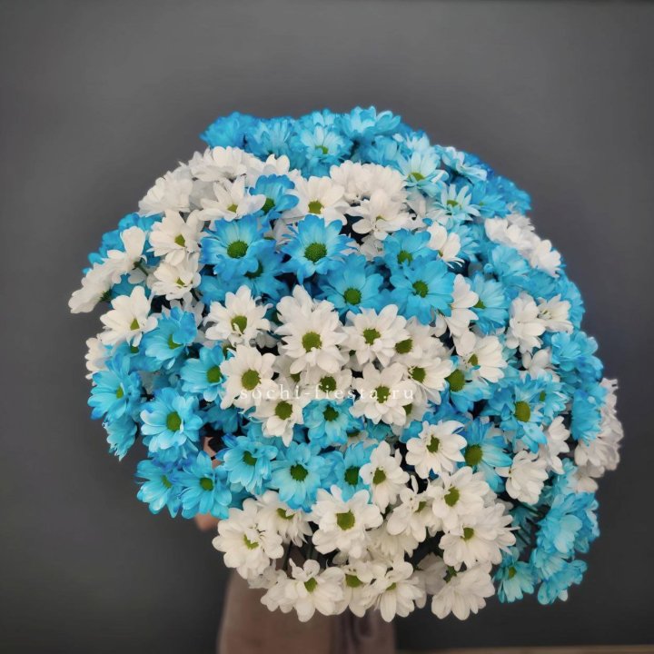  Букет хризантем микс в Томске