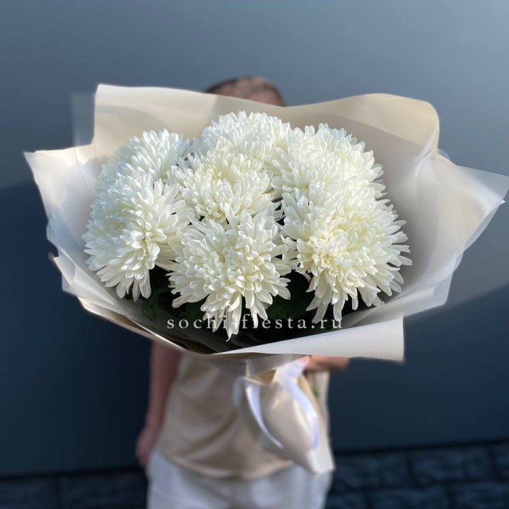 Профитроли в Томске