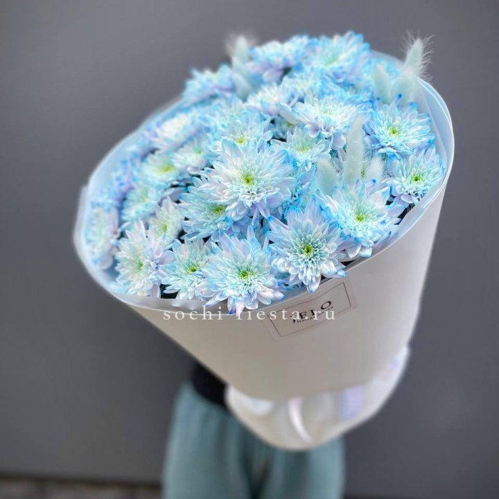  Букет нежно-голубых хризантем  в Томске