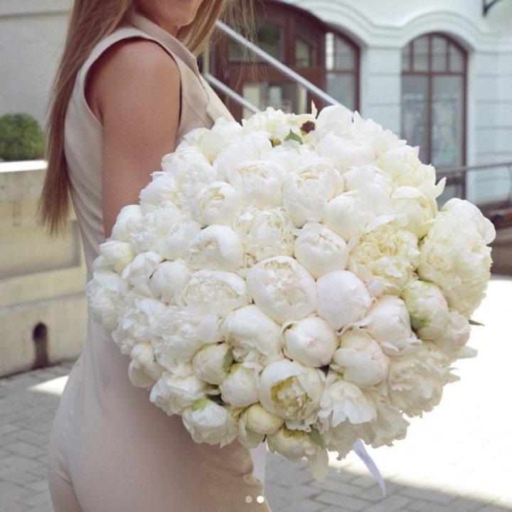 51 белый пион в Томске