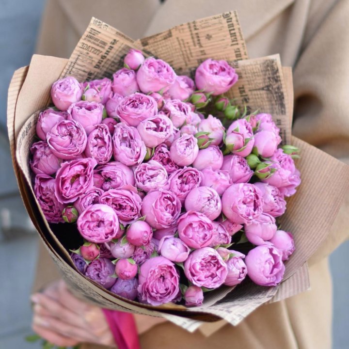 Роза Мисти Баблс в Томске