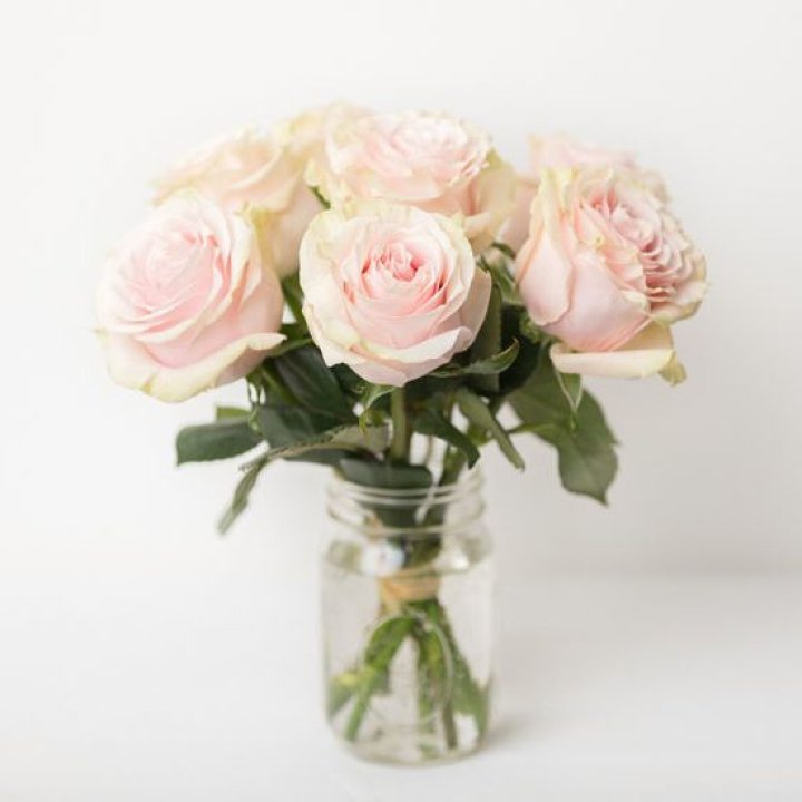 7 кремовых роз в Томске