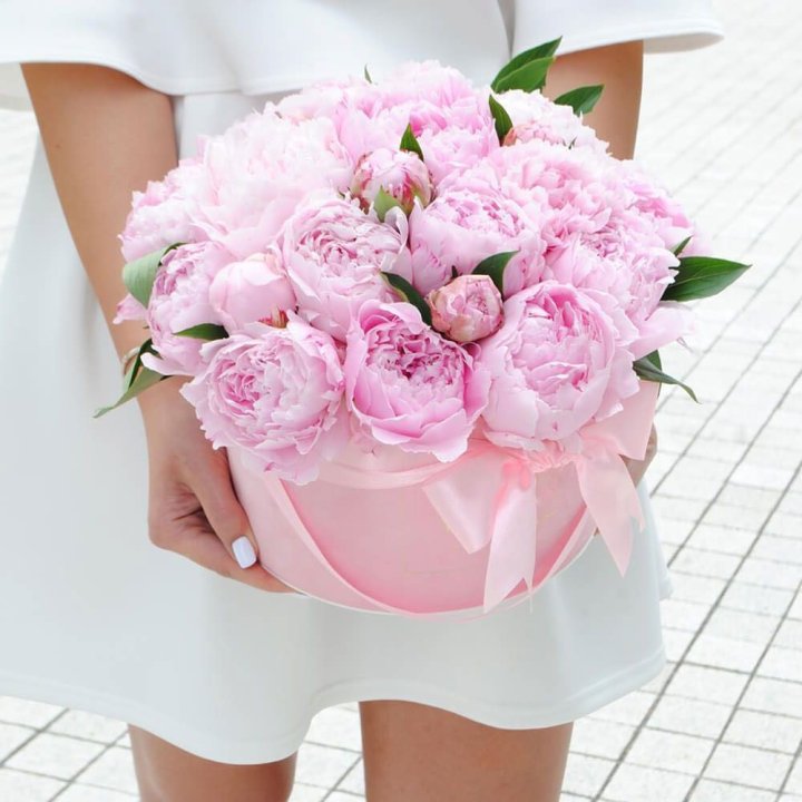 Пионы в шляпной коробке в Томске