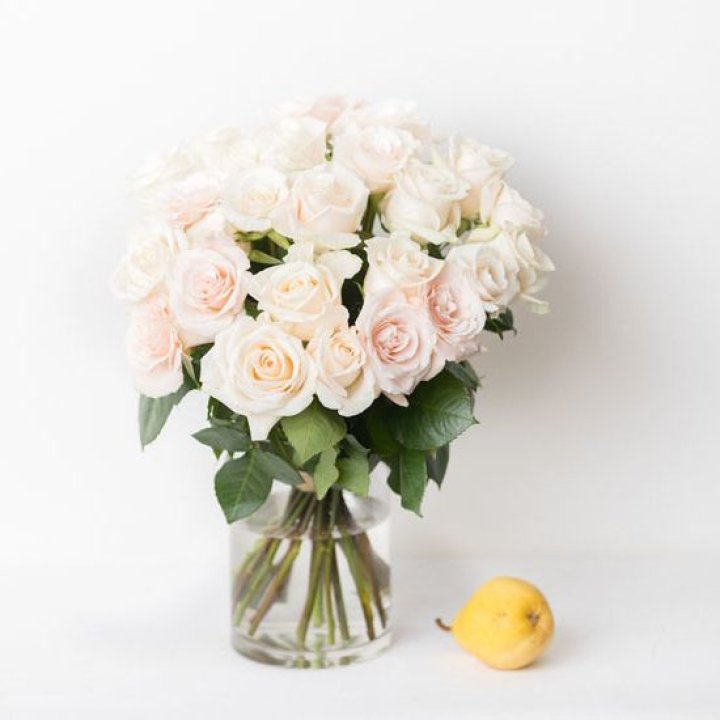25 кремовых роз в Томске